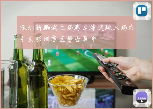 深圳新鹏城主场赛后球迷跳入场内引发深圳赛区警告事件