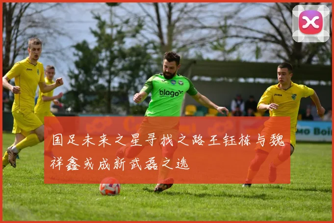 国足未来之星寻找之路王钰栋与魏祥鑫或成新武磊之选