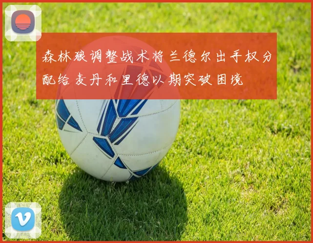 森林狼调整战术将兰德尔出手权分配给麦丹和里德以期突破困境