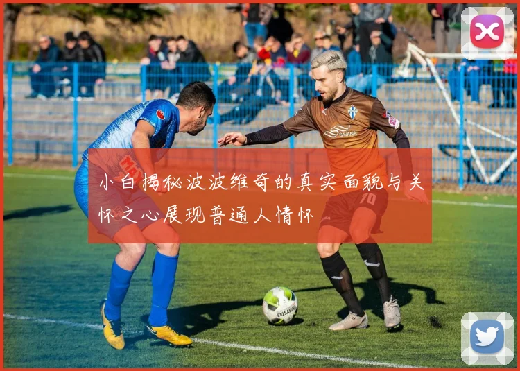 小白揭秘波波维奇的真实面貌与关怀之心展现普通人情怀